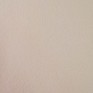 Meet your Posher, Alesa